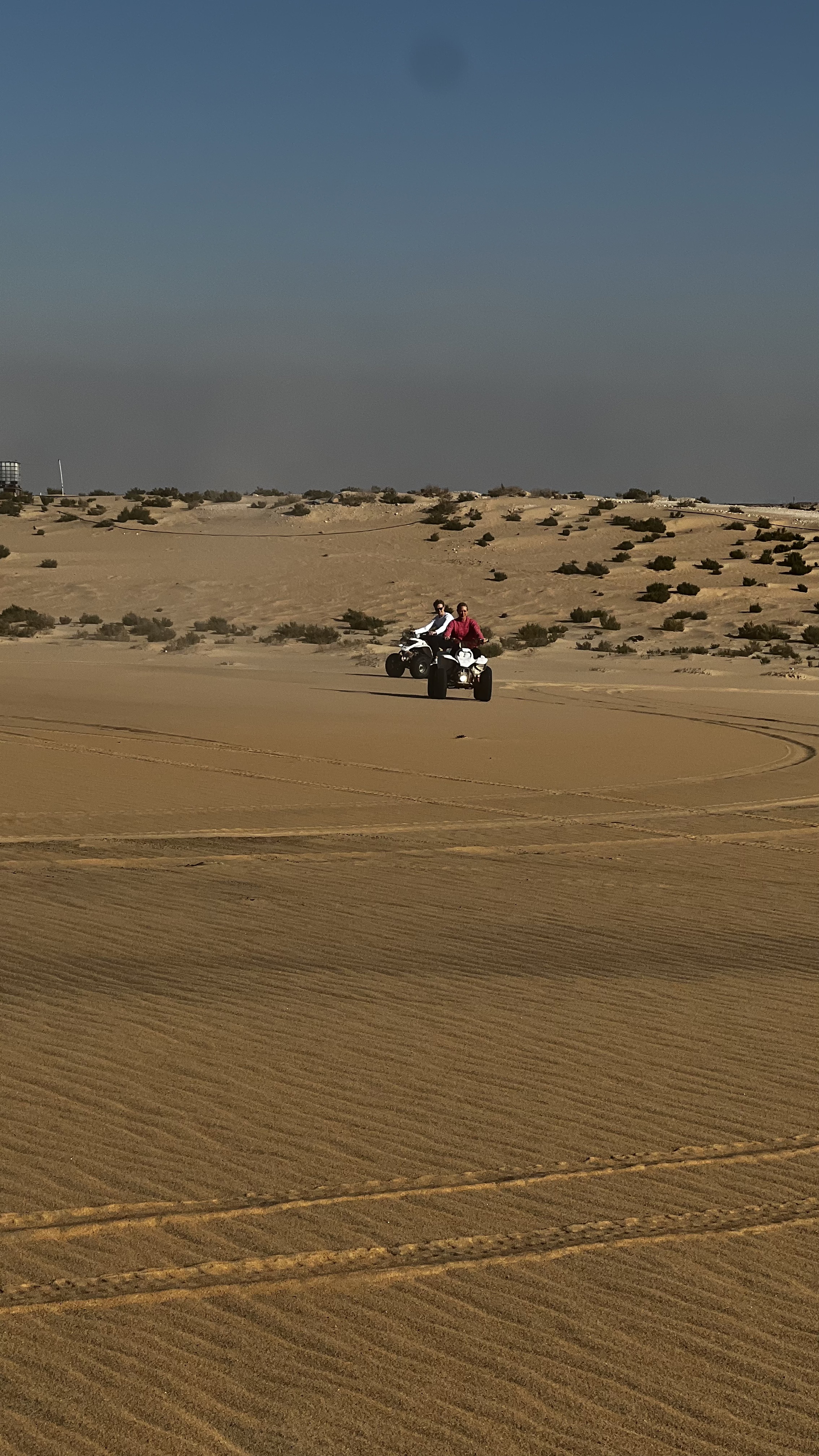 Desert Safari