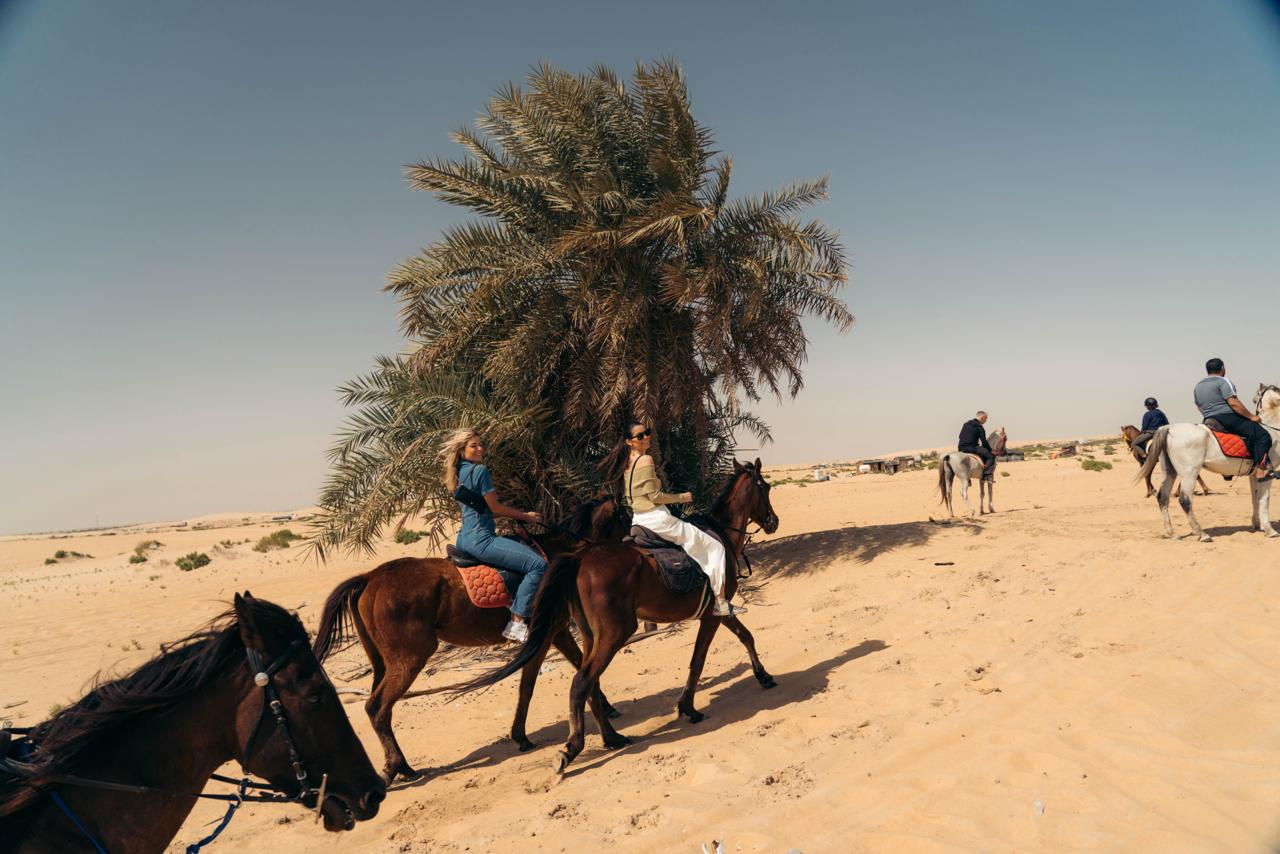 Desert Safari