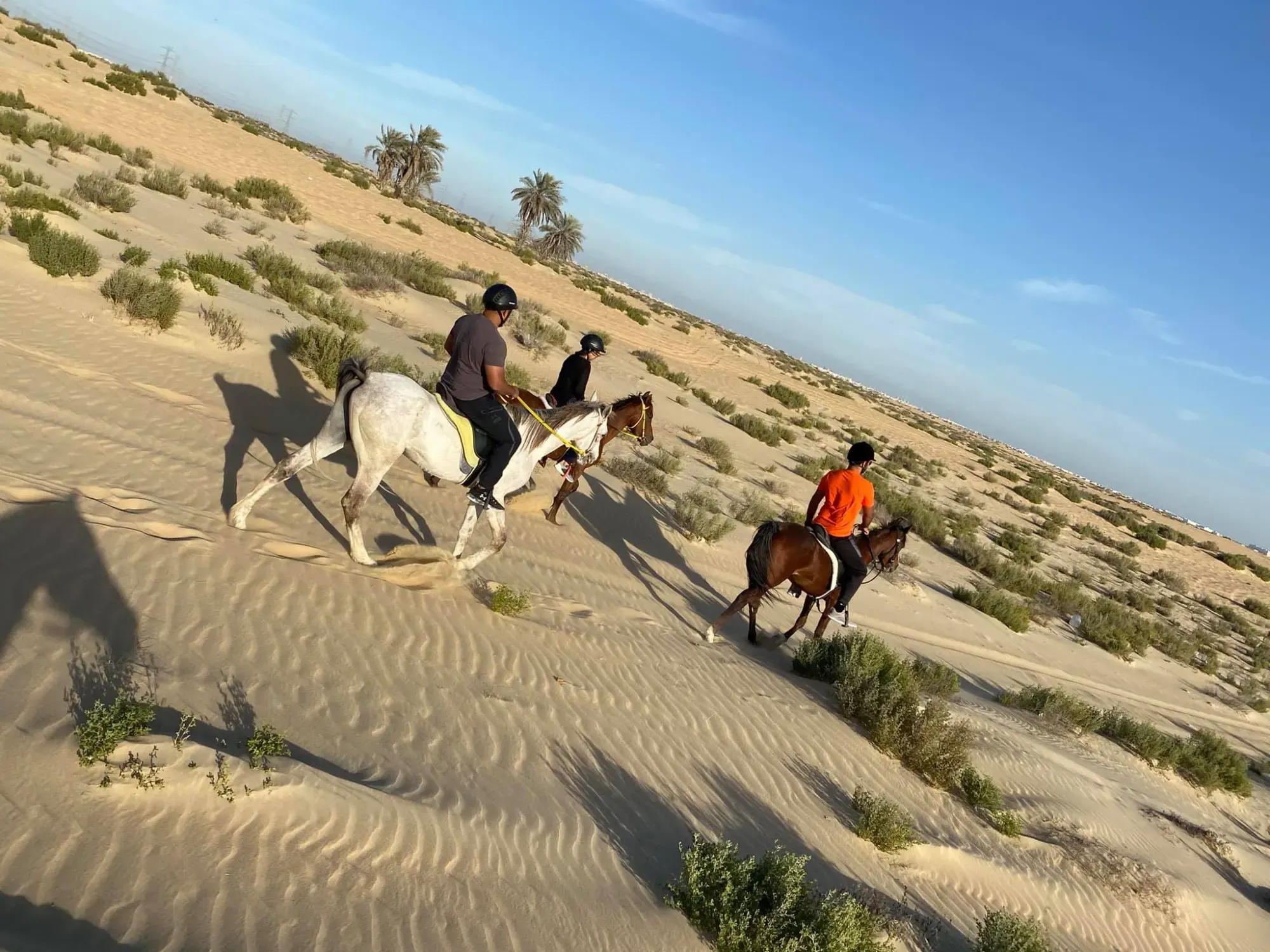 Horse Riding Course in Dammam