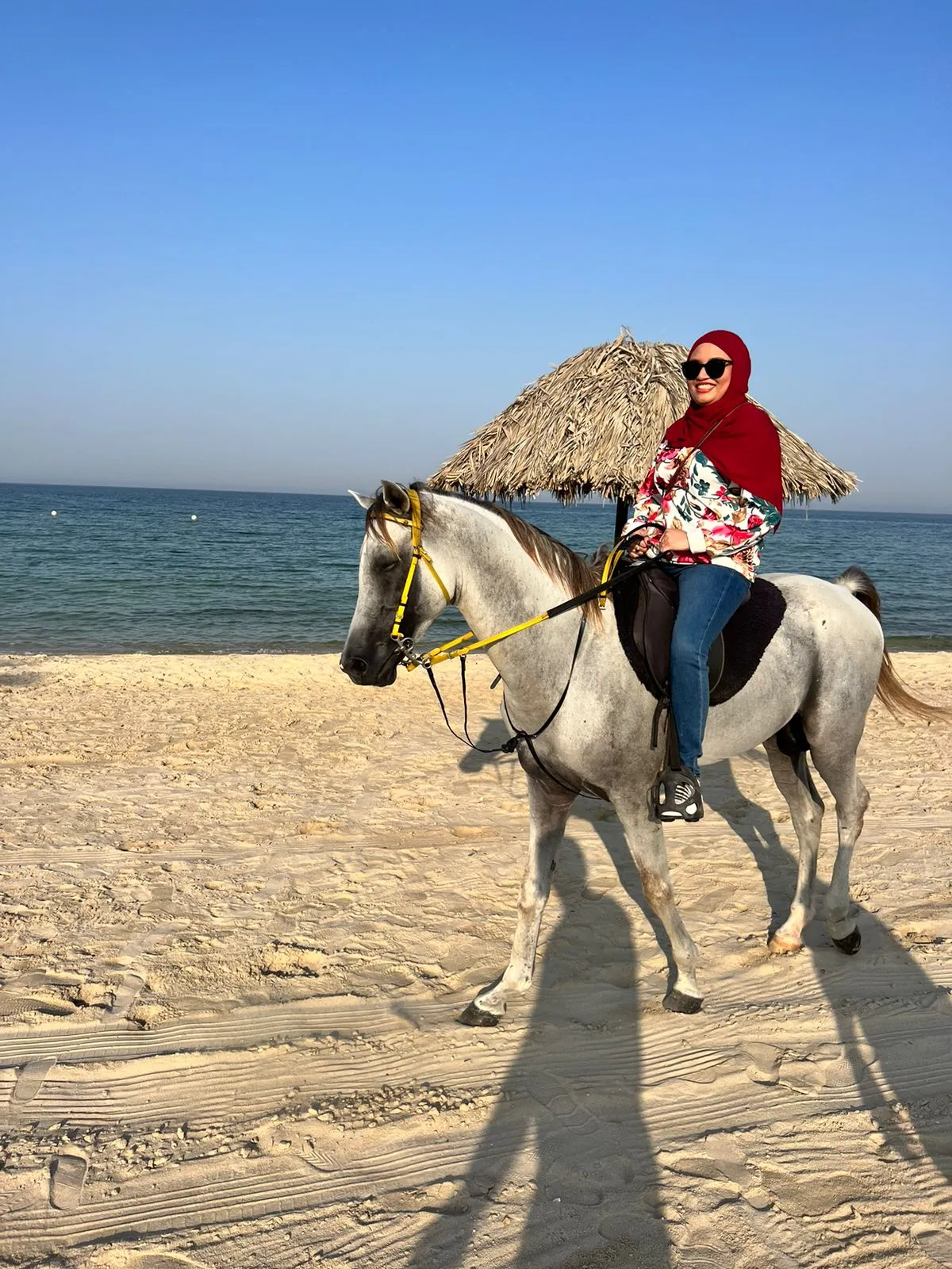 Horse Riding in Dammam, Scuba Diving in Dammam, water spot, Horse Riding in Khobar, Things to do in Dammam & Khobar, Boat Trip in Khobar, Desert Camping in Khobar
Fishing trip in Jubail, Powered, Parachute in Alhasa, Microlight in Alhasa, Powered Parachute in Jubail, Desert Safari to Alasfar Lake, Things to do in Dammam & 
Khobar, Scuba diving, Scuba Diving in Khobar, Scuba Diving in Eastern Province, Scuba Diving in Jubail, Scuba Diving in Halfmoon Beach, Discovery Scuba Diving in Dammam, Discovery Scuba Diving in Khobar, Discovery Scuba Diving in Halfmoon Beach, Water sports near me, Water Sports in Khobar, Water Sports in Dammam, Water Sports in Eastern Province, Water activities in khobar, Water activities in dammam, Water activities in Eastern Province , Water activities in Halfmoon beach, Parasailing in Khobar, Parasailing in Dammam