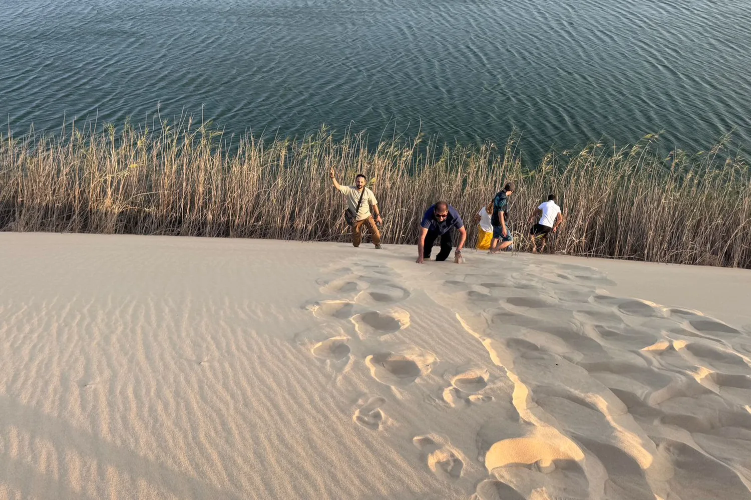 Desert Safari to Al Asfar Lake, Al Ahsa: The Ultimate Adventure from Khobar & Dammam