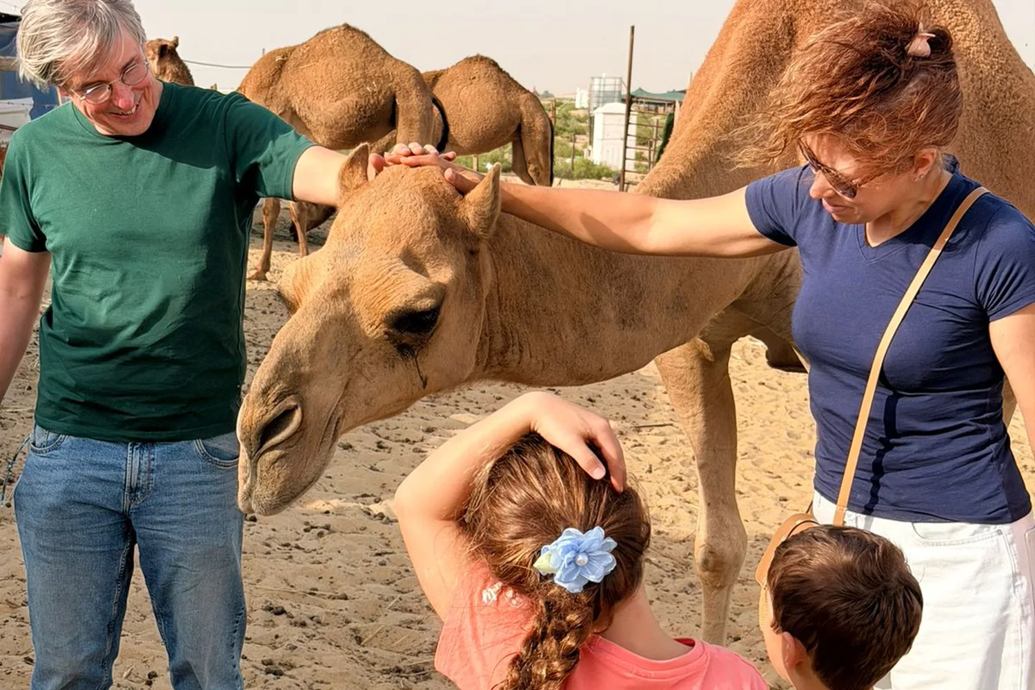 Desert Safari & Camel Farm Tour in Dammam: Experience the Arabian Desert | Complete Visitor Guide