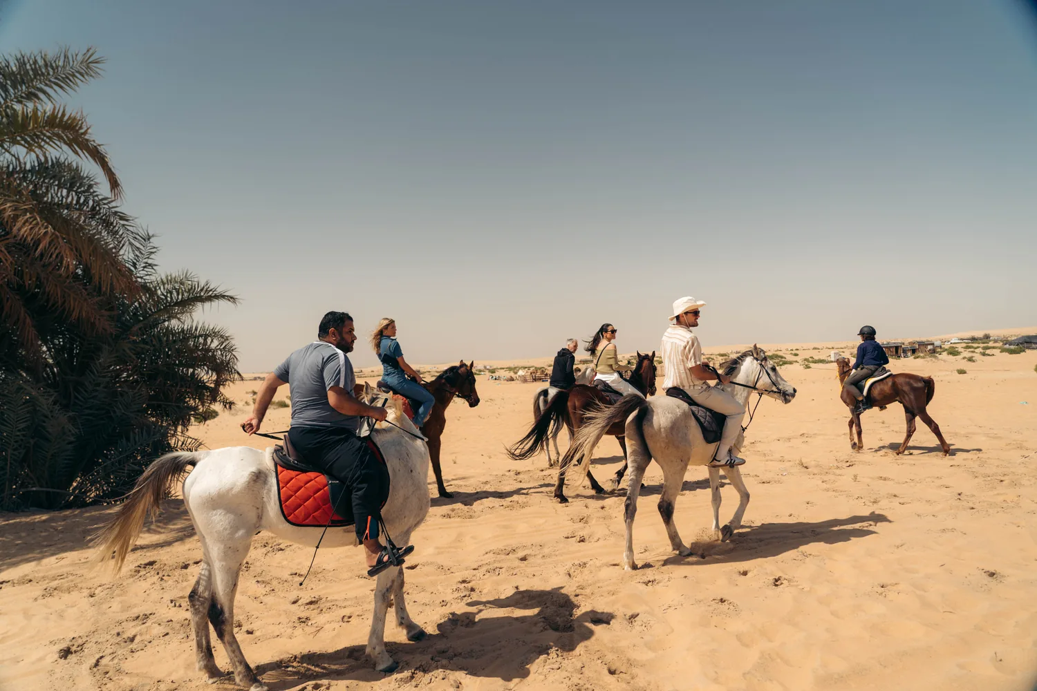 Horse Riding in Khobar, Dammam & Half Moon Bay | Beach & Desert Horse Riding
